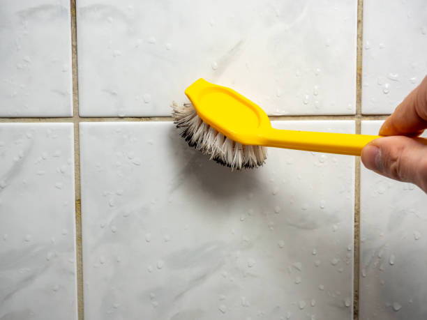Best Post-Remediation Services in Woodlawn, OH