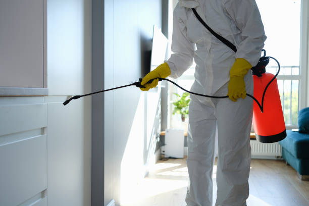 Best Industrial Mold Remediation in Woodlawn, OH