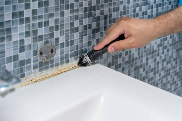Best Mold Remediation for Schools in Woodlawn, OH